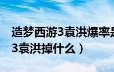 造梦西游3袁洪爆率是不是太低了（造梦西游3袁洪掉什么）