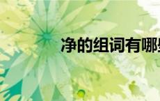 净的组词有哪些（净的组词）