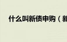 什么叫新债申购（新债申购有什么风险）
