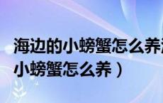 海边的小螃蟹怎么养活淡水还是盐水（海边的小螃蟹怎么养）