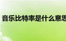 音乐比特率是什么意思（比特率是什么意思）
