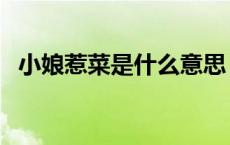 小娘惹菜是什么意思（娘惹菜是什么意思）
