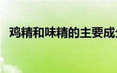 鸡精和味精的主要成分（味精的主要成分）