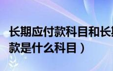 长期应付款科目和长期应付款项目（长期应付款是什么科目）