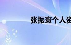 张振寰个人资料（张振寰）
