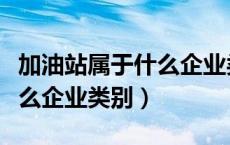加油站属于什么企业类别单位（加油站属于什么企业类别）