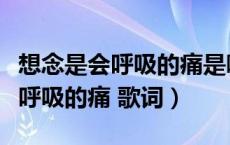 想念是会呼吸的痛是哪首歌的歌词（想念是会呼吸的痛 歌词）