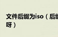 文件后缀为iso（后缀名 ISO文件是什么文件呀）