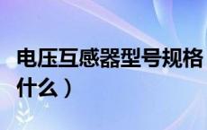 电压互感器型号规格（电压互感器的型号代表什么）