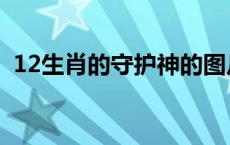 12生肖的守护神的图片（12生肖的守护神）