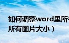 如何调整word里所有图片大小（word调整所有图片大小）