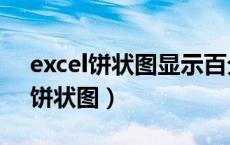 excel饼状图显示百分比及类别名称（excel饼状图）