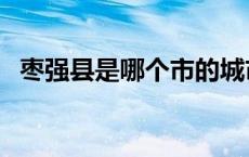 枣强县是哪个市的城市（枣强县是哪个市）