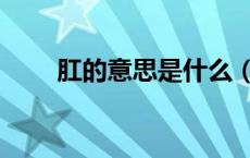 肛的意思是什么（顶肛是什么意思）