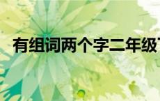 有组词两个字二年级下册（有组词两个字）