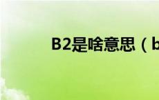 B2是啥意思（b2g是什么意思）