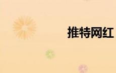 推特网红（推特网）