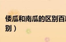 倭瓜和南瓜的区别百度百科（倭瓜和南瓜的区别）