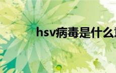 hsv病毒是什么意思（hsv病毒）