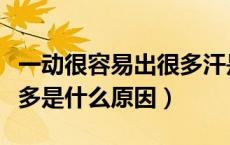 一动很容易出很多汗是什么原因（一动就出汗多是什么原因）