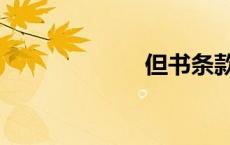 但书条款（但书）