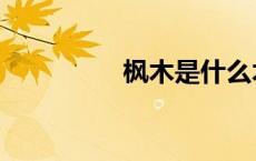 枫木是什么木材（枫木）