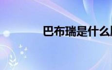 巴布瑞是什么牌子（巴布瑞）