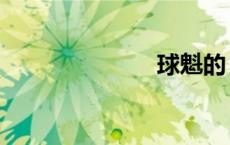 球魁的（球魁）