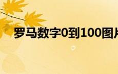 罗马数字0到100图片（罗马数字0到10）