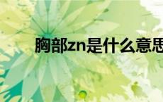 胸部zn是什么意思（zn是什么意思）