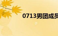 0713男团成员排名（0713）