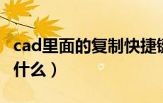 cad里面的复制快捷键（CAD复制的快捷键是什么）