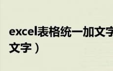 excel表格统一加文字格式（excel表格统一加文字）