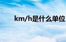km/h是什么单位（km是什么单位）