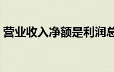 营业收入净额是利润总额吗（营业收入净额）
