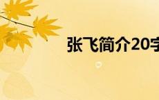 张飞简介20字（张飞简介）