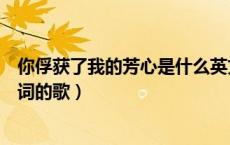 你俘获了我的芳心是什么英文歌（你俘获我的芳心是那首歌词的歌）