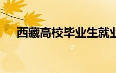 西藏高校毕业生就业信息网官网 山东省