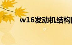 w16发动机结构图（w16发动机）
