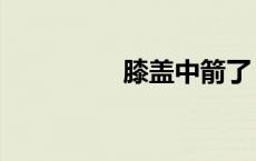 膝盖中箭了（膝盖中箭）