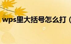 wps里大括号怎么打（wps大括号怎么输入）
