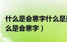 什么是会意字什么是形声字什么是象形字（什么是会意字）