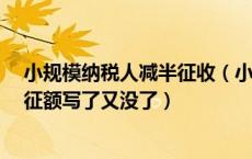 小规模纳税人减半征收（小规模纳税人11 本期应纳税额减征额写了又没了）