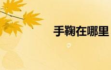 手鞠在哪里（手鞠被绑）