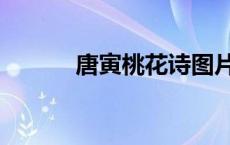 唐寅桃花诗图片（唐寅桃花诗）