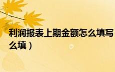 利润报表上期金额怎么填写（利润表本期金额和上期金额怎么填）