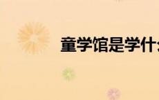 童学馆是学什么的（童学馆）