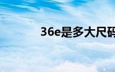 36e是多大尺码（36e是多大）