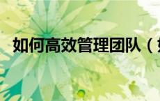如何高效管理团队（如何管理好一个团队）