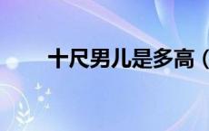 十尺男儿是多高（九尺男儿是多高）